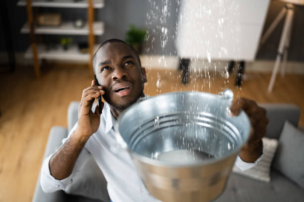 Best Water damage contractors near me  in Bennington, NE