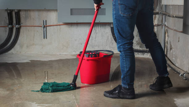 Best Water damage restoration experts  in Bennington, NE