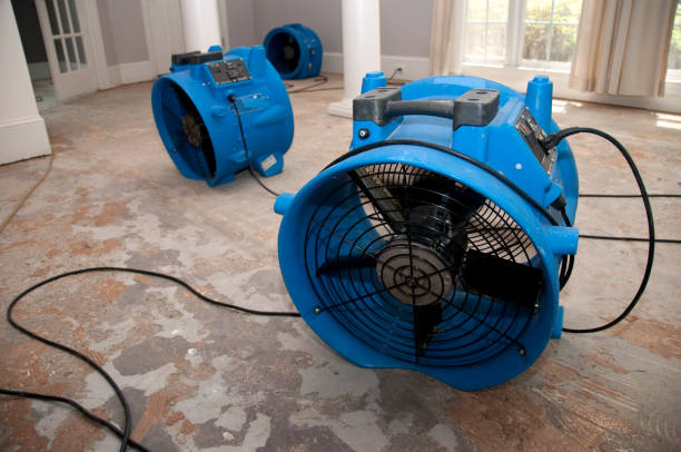 Best Water damage cleanup near me  in Bennington, NE